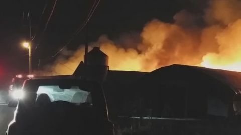 양계장에서 불...병아리 3만 마리 죽어