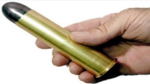 공룡 잡는 소총 '총 쏘다 어깨 빠지겠네'