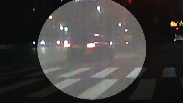 가수 '매니저'가 뺑소니범 붙잡아!