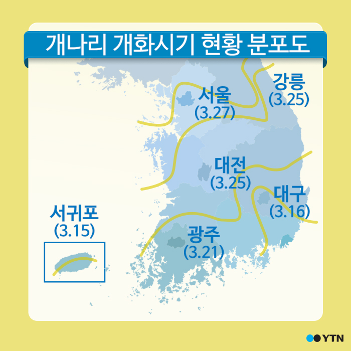 [한컷뉴스] '개나리·진달래' 우리 동네 언제 오나?