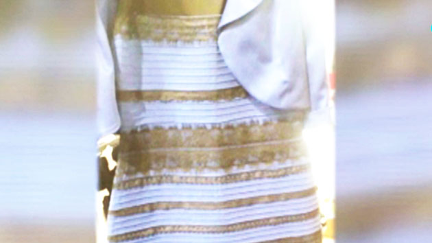 드레스도 색깔 논쟁...흰색? 파란색?