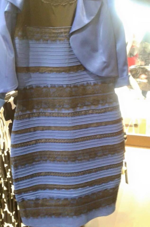 드레스 색깔 논란...흰금·파검으로 양분된 세상