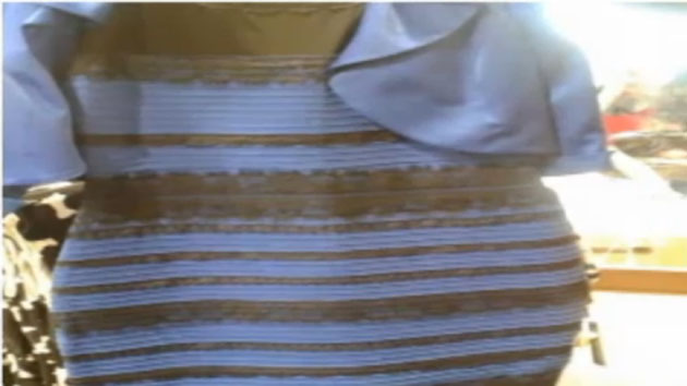 [국제]이 드레스는 흰색일까요, 파란색일까요? | YTN