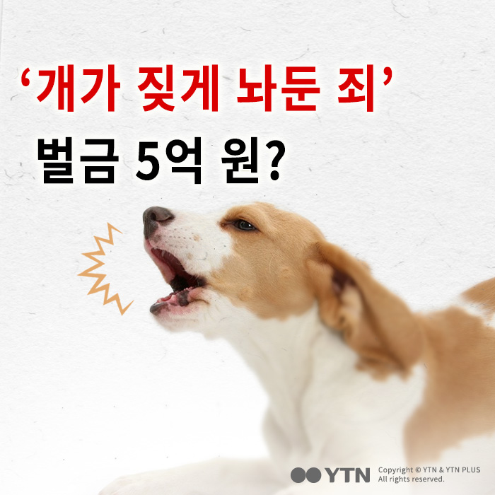 [한컷뉴스] '개가 짖게 놔둔 죄' 벌금 5억 원?