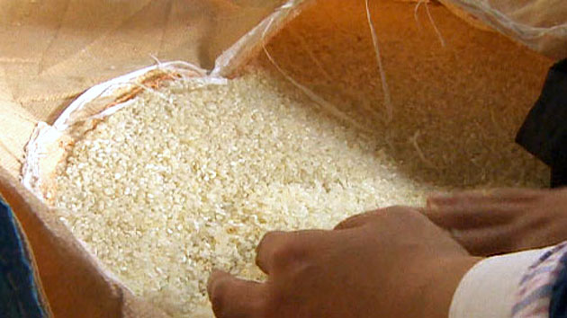'농협이 농민에게 쌀을 팔다'?...'강매' 논란