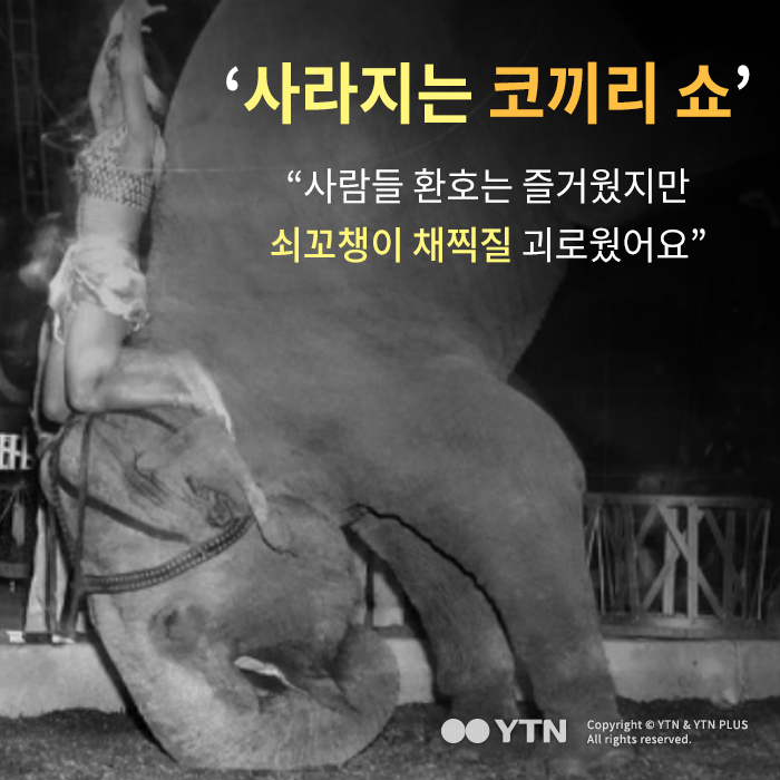 [한컷뉴스] 100년 전통 코끼리 서커스 역사속으로