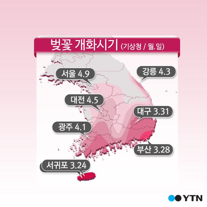 [한컷뉴스] 한 눈에 보는 '벚꽃 지도'