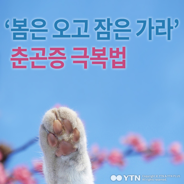 [한컷뉴스] '봄은 오고 잠은 가라' 춘곤증 극복법