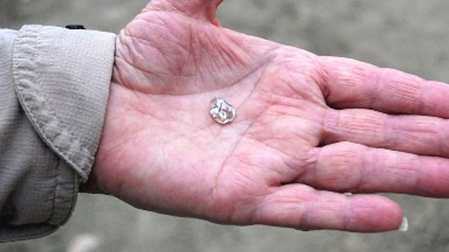 美 공원에서 또 3.69캐럿 다이아몬드 발견