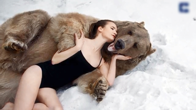 650kg 거대 곰과 눈밭에 드러누운 미녀 모델