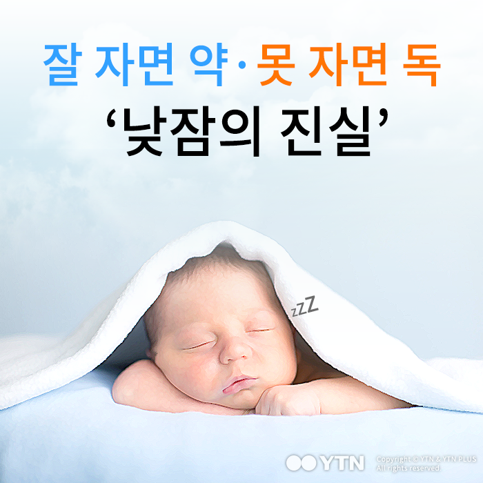 [한컷뉴스] 잘 자면 약·못 자면 독 '낮잠의 진실'