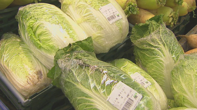 이른 더위에 배추 등 채솟값 급등