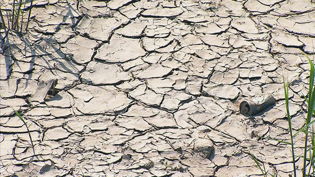사상 최악의 중부 가뭄...원인과 전망은?