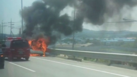 한강 하류 녹조로 물고기 폐사...달리던 승용차에 불