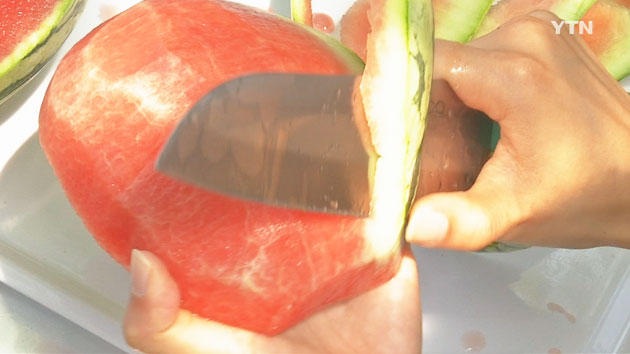 [영상] 사과처럼 깎아 먹는 '미니수박'