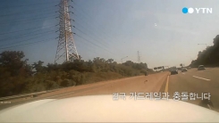 '차선 변경의 나쁜 예' 고속도로 사고유발자