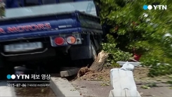 운전 중 '잠깐 통화'가 빚어낸 참상