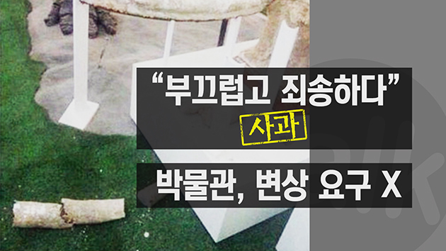 [댓글톡톡] "상아 화석 파손한 가족 연락 달라"..."죄송합니다"