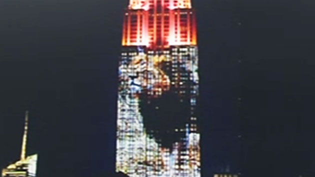 [핫클릭] 뉴욕 빌딩에 등장한 국민사자 '세실'