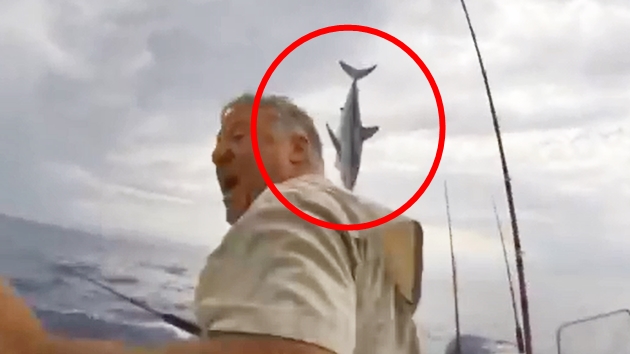 공중제비 도는 청상아리 등장에 '혼비백산'