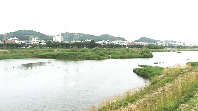 [울산] 태화강 생명 탐사...바이오블리츠 코리아 다음 달 열려