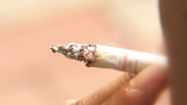 담배 못 끊는 이유..."뇌 속 마이크로RNA 때문"
