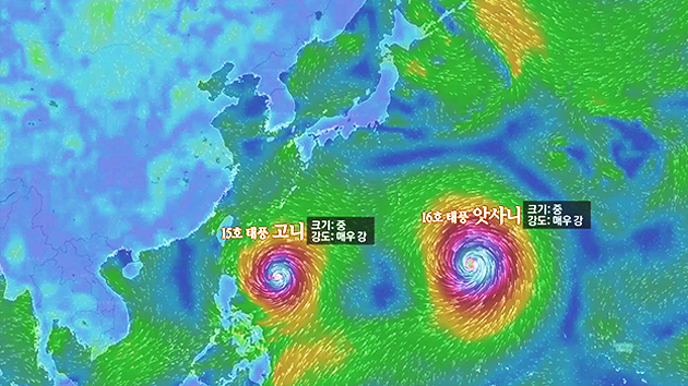 태풍 2개 동시 이동...적조 해결사 되나?