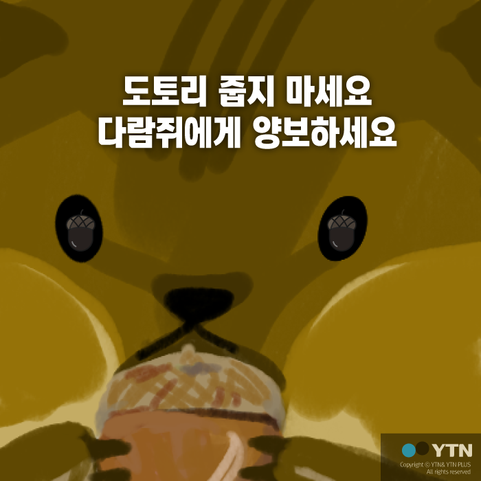 [한컷뉴스] '도토리 줍지 마세요 다람쥐에게 양보하세요'