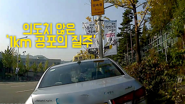 [영상] 도로 가로지른 1km 폭주...공포의 급발진?