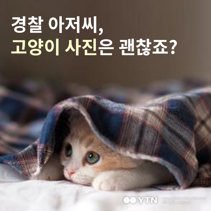 [한컷뉴스] 경찰 아저씨, 고양이 사진은 괜찮죠?