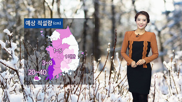 [날씨] 서울 첫 영하권...경기 남부·충북·전북 첫 대설주의보