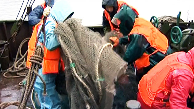 북 "해상경보에도 결사적인 물고기잡이 전투"