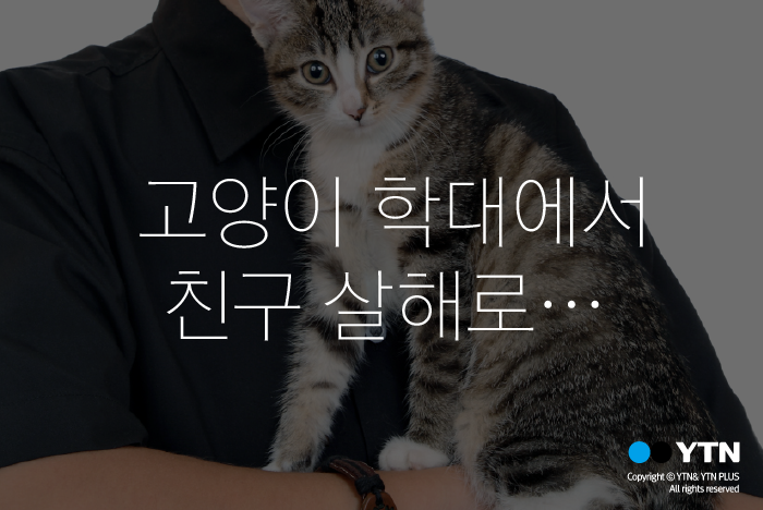 [한컷뉴스] 친구를 죽인 '고양이 킬러'...그는 왜?