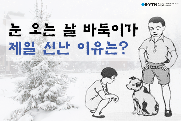[한컷뉴스] 눈 오는 날 바둑이가 제일 신난 이유는?