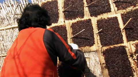 FTA로 수산물 경쟁력 강화...김·어묵 등 수출 확대