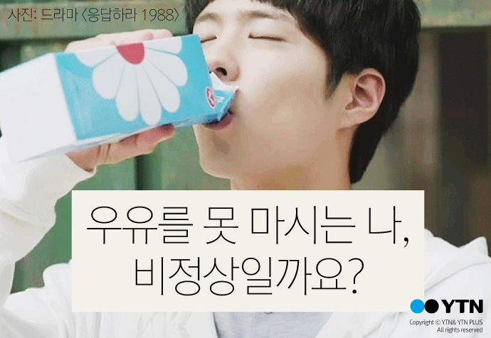 [한컷뉴스] 우유를 못 마시는 나, 비정상일까요?