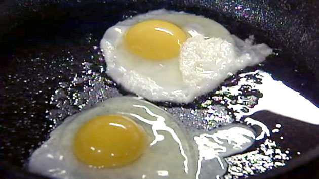 달걀이 성인병 위험 높인다?..."오히려 예방에 도움"