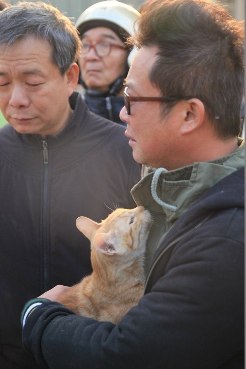 '대만 지진' 무너진 아파트서 주인 구한 고양이