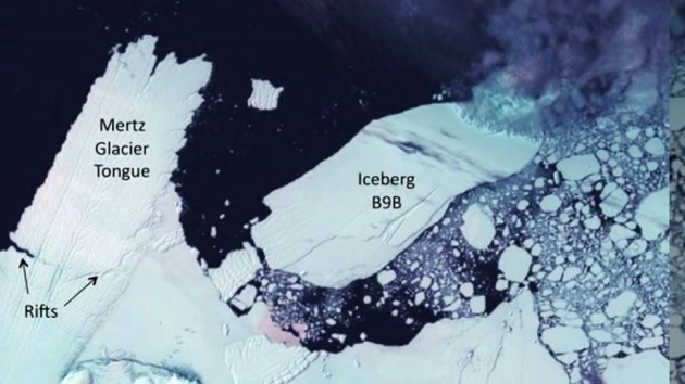 남극 펭귄 15만 마리 떼죽음..."빙산이 길 막아"