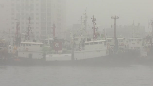 짙은 안개로 부산항 선박 운항 차질