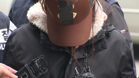 조카 살인 이모 "형부가 성폭행" 주장