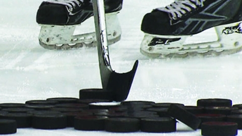 하키채로 초등학생 때린 운동부 코치 구속