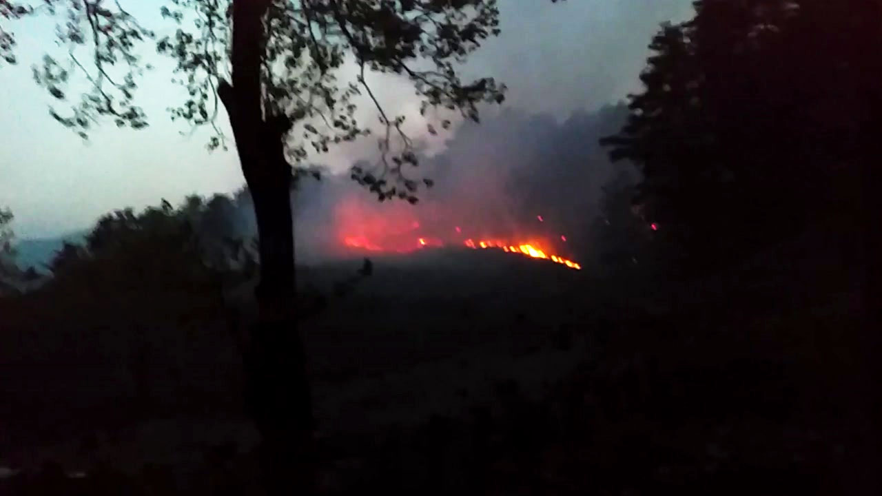 강릉 야산에서 불...300㎡ 태워