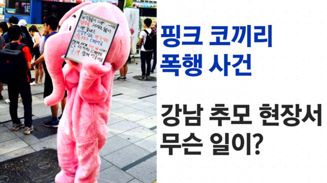 강남역 추모 현장서 '핑크 코끼리' 폭행 수사