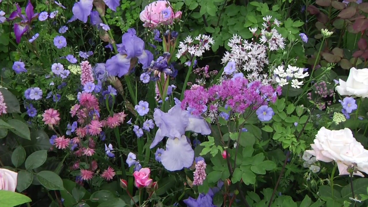 첼시 꽃 박람회 개막...자연·IT 융합 신개념 정원 선보여