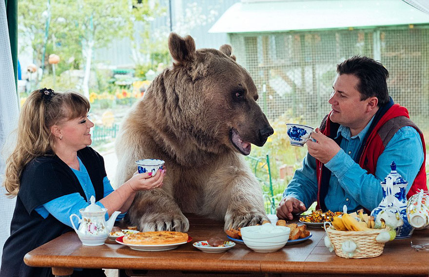 "겸상도 해요" 23살 거대 갈색곰과 함께 사는 부부