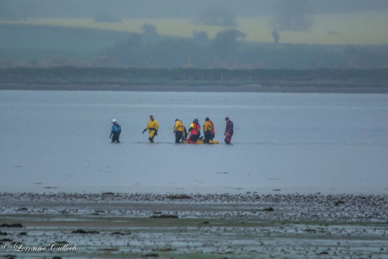 돌고래에게 '옷과 수건'을 덮어주자 일어난 기적