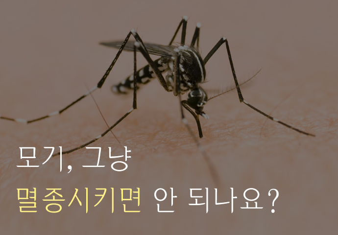 [한컷뉴스] 모기, 그냥 멸종시키면 안 되나요?