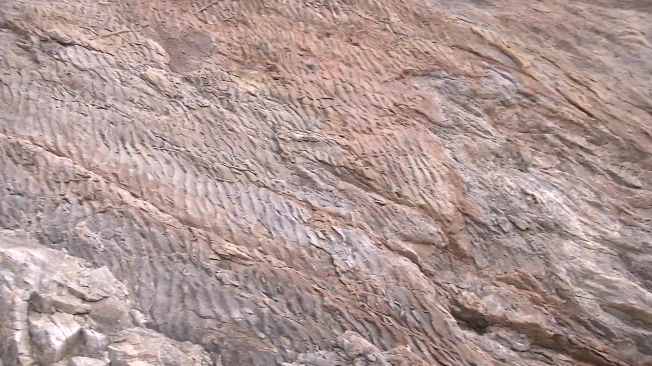 대청도 암벽 희귀 무늬 발견..."10억 년 전 생성"