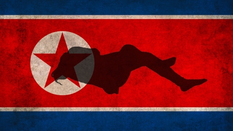 "韓영화 메모리칩 발각 北여대생, 단속 걸려 자살"